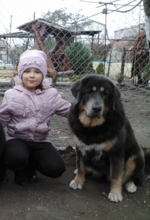 YARA Henriet´s garden ,(DALOU x RAMILA)